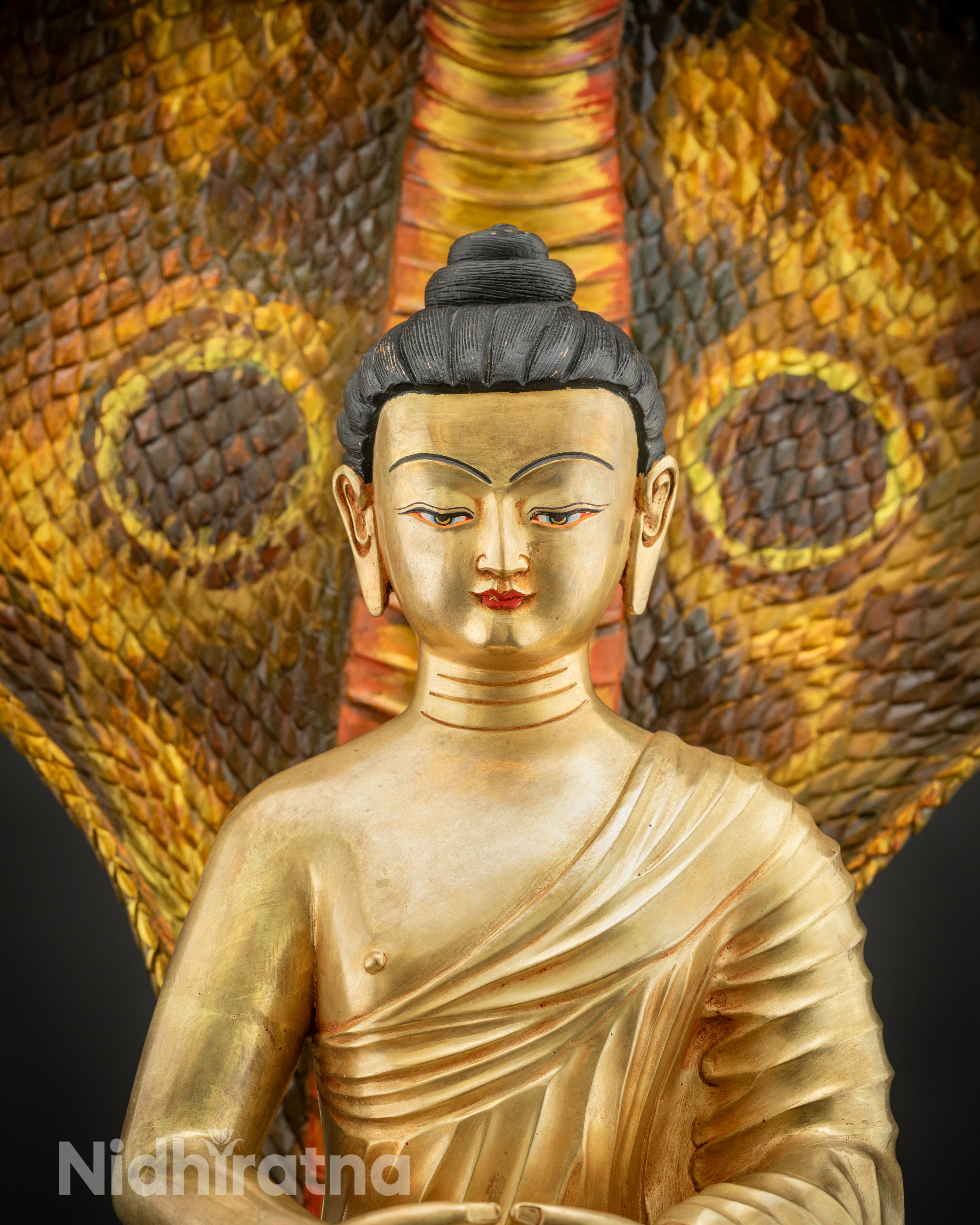 Close-up of Nagarjuna Statue Face with 5-Jewel Crown and Serpent Canopy