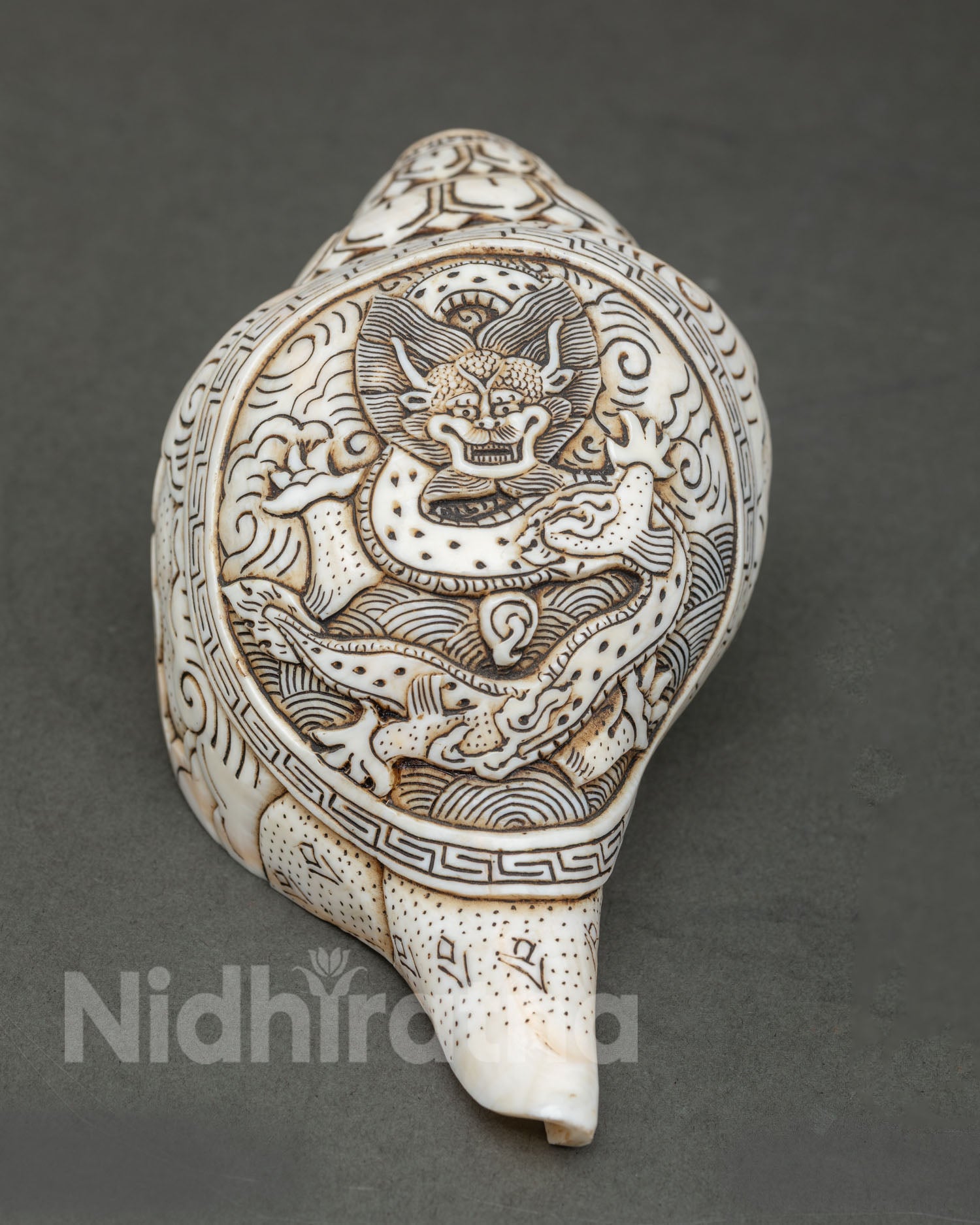Conch Shell