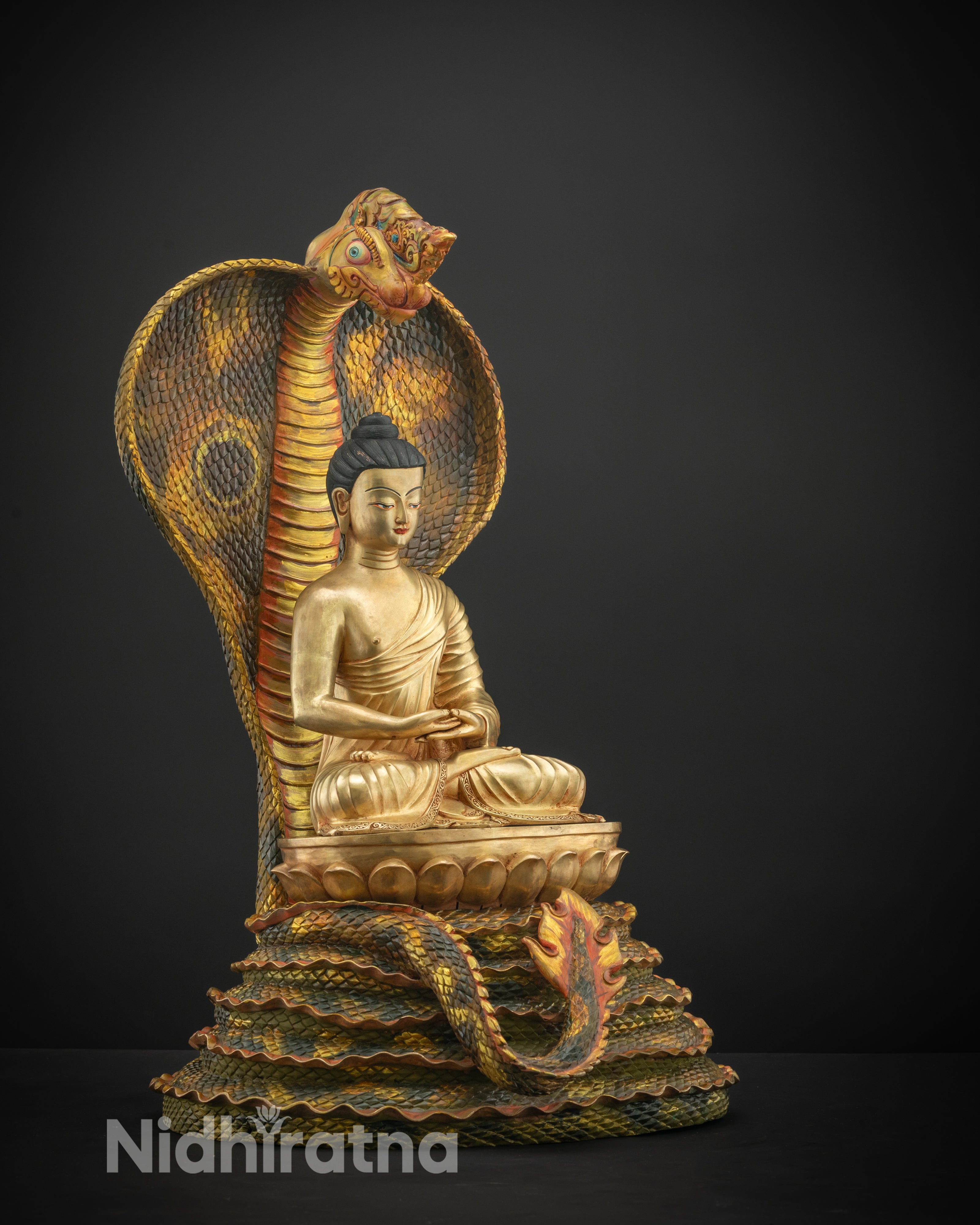 Side Angle of Nepalese Nagarjuna Buddha Statue Showing Meditative Bhumisparsha Mudra