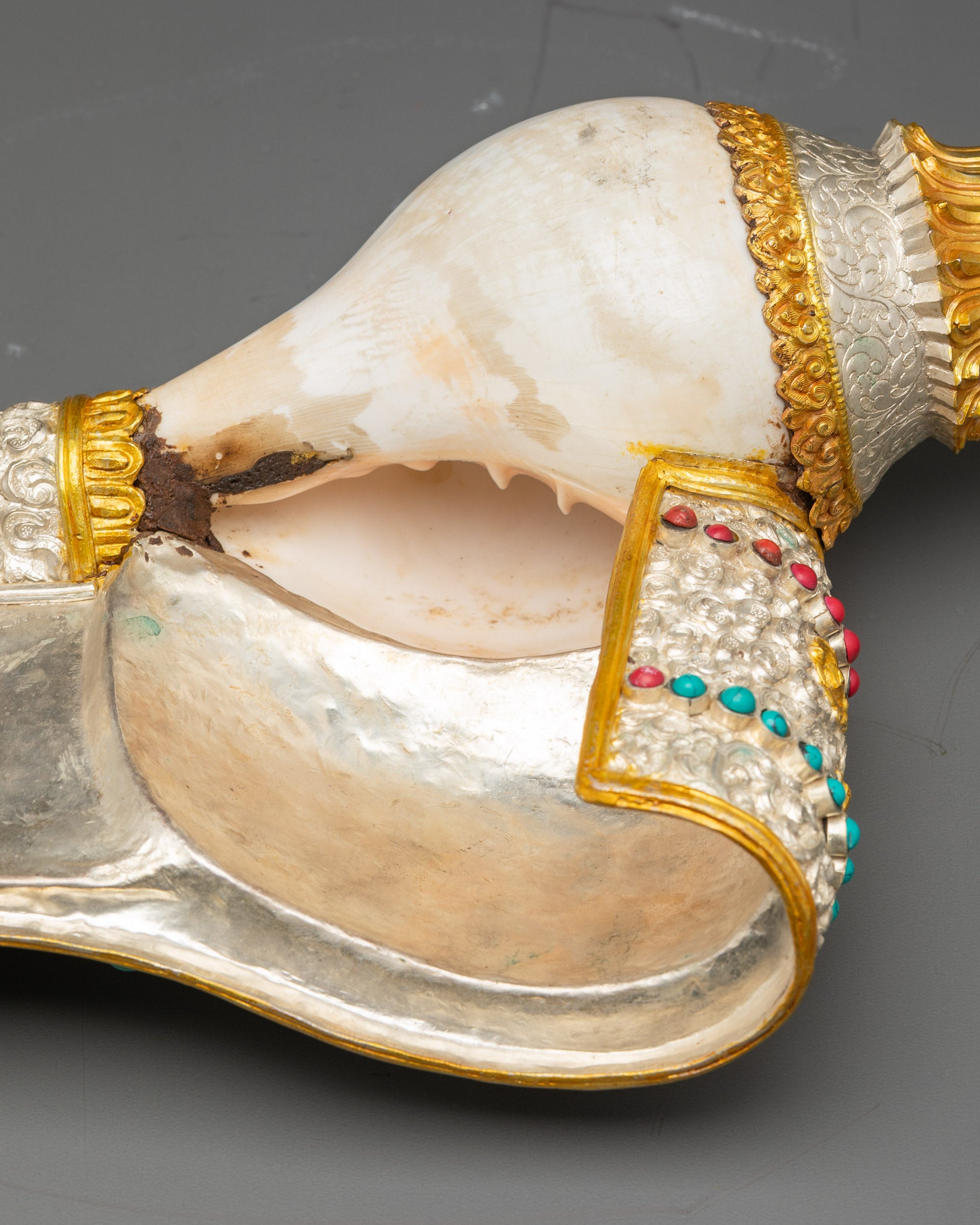 Side view Tibetan Conch Shell for rituals, meditation, and altar offerings