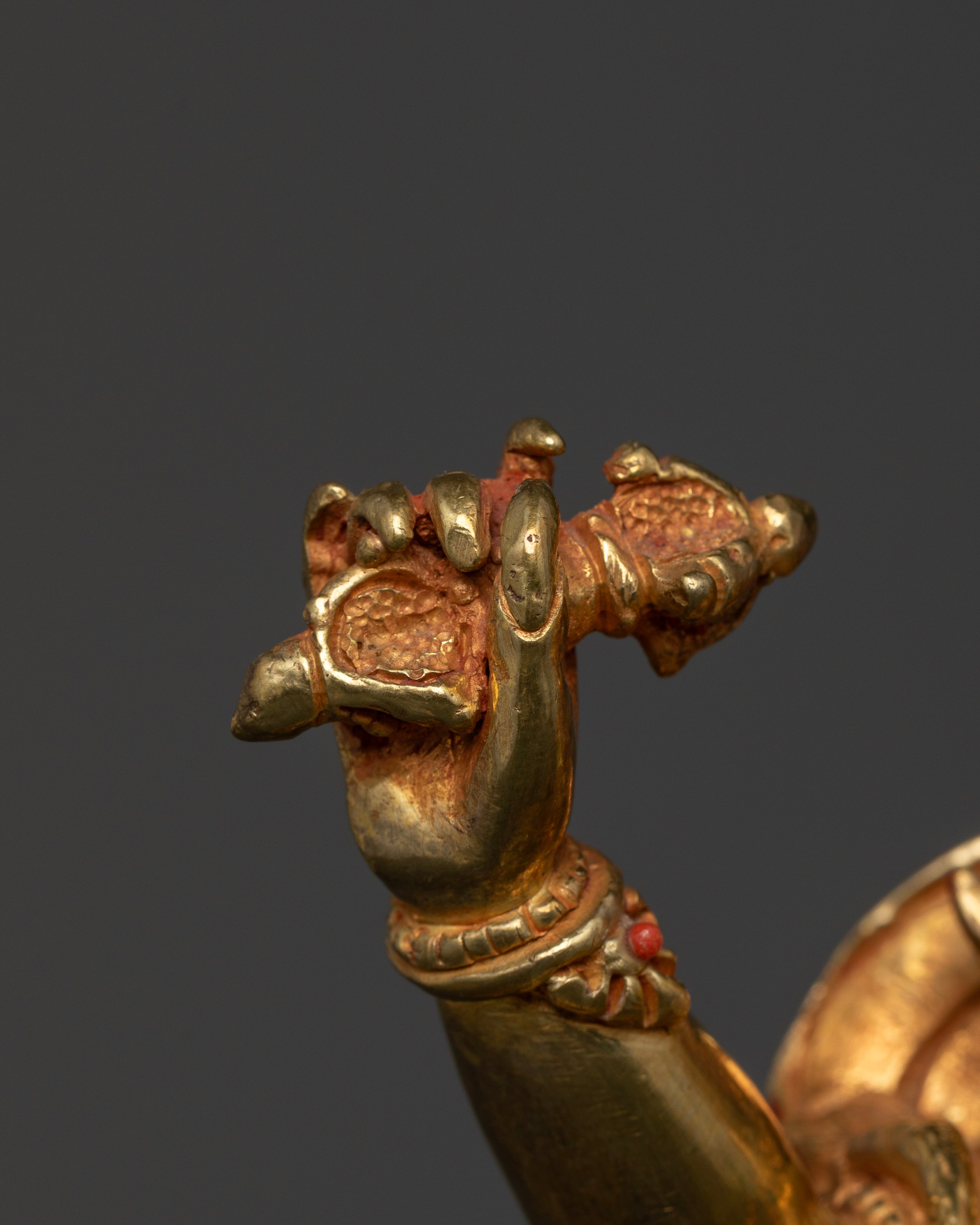 Vajrapani: Shielding Practitioners from Negativity