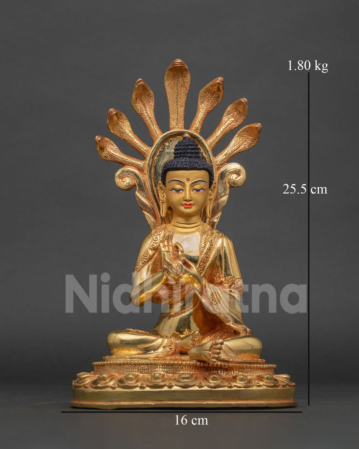 Nagarjuna Statue
