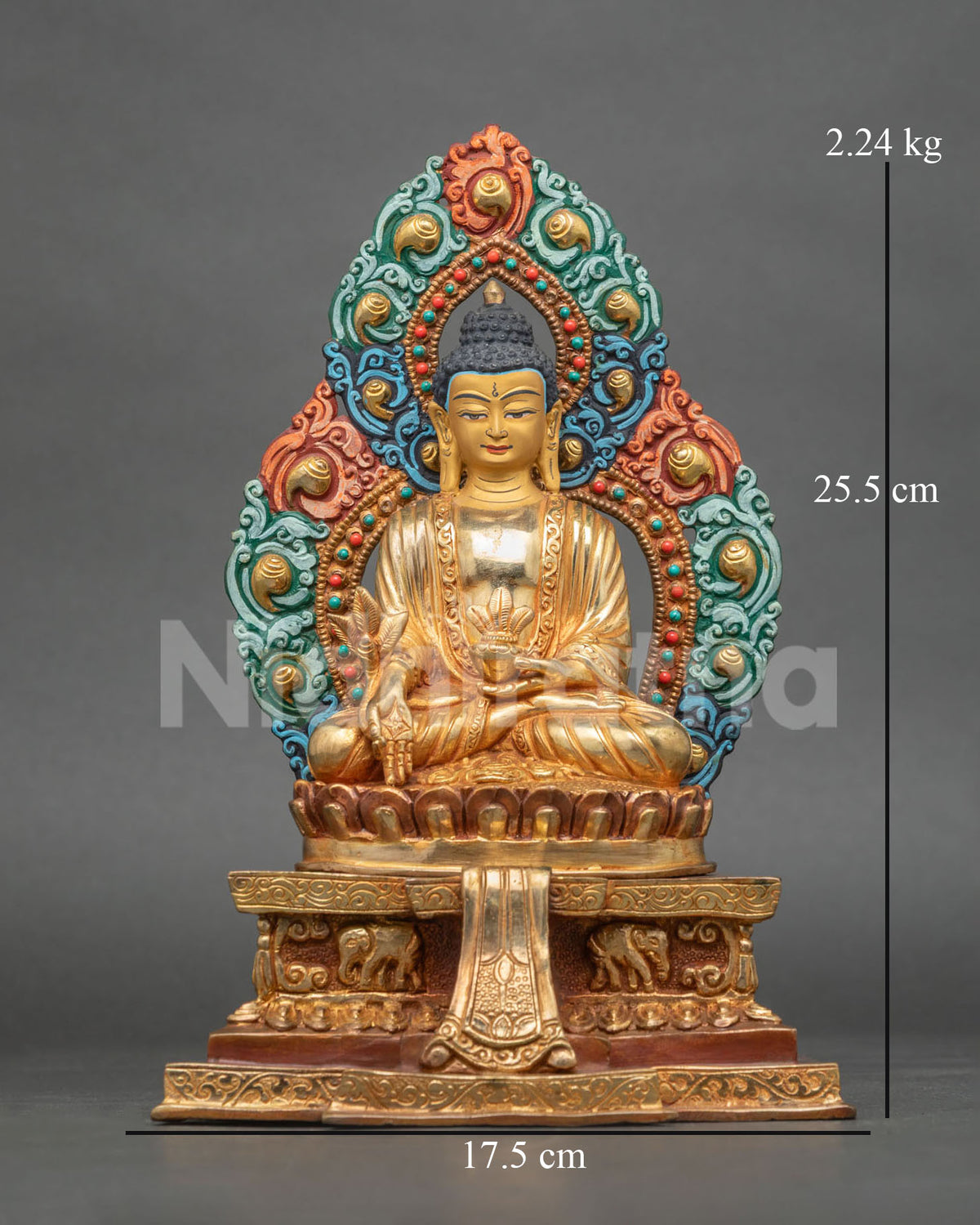 Close Up View of Medicine Buddha Statue Healing Myrobalan and Nectar Bowl