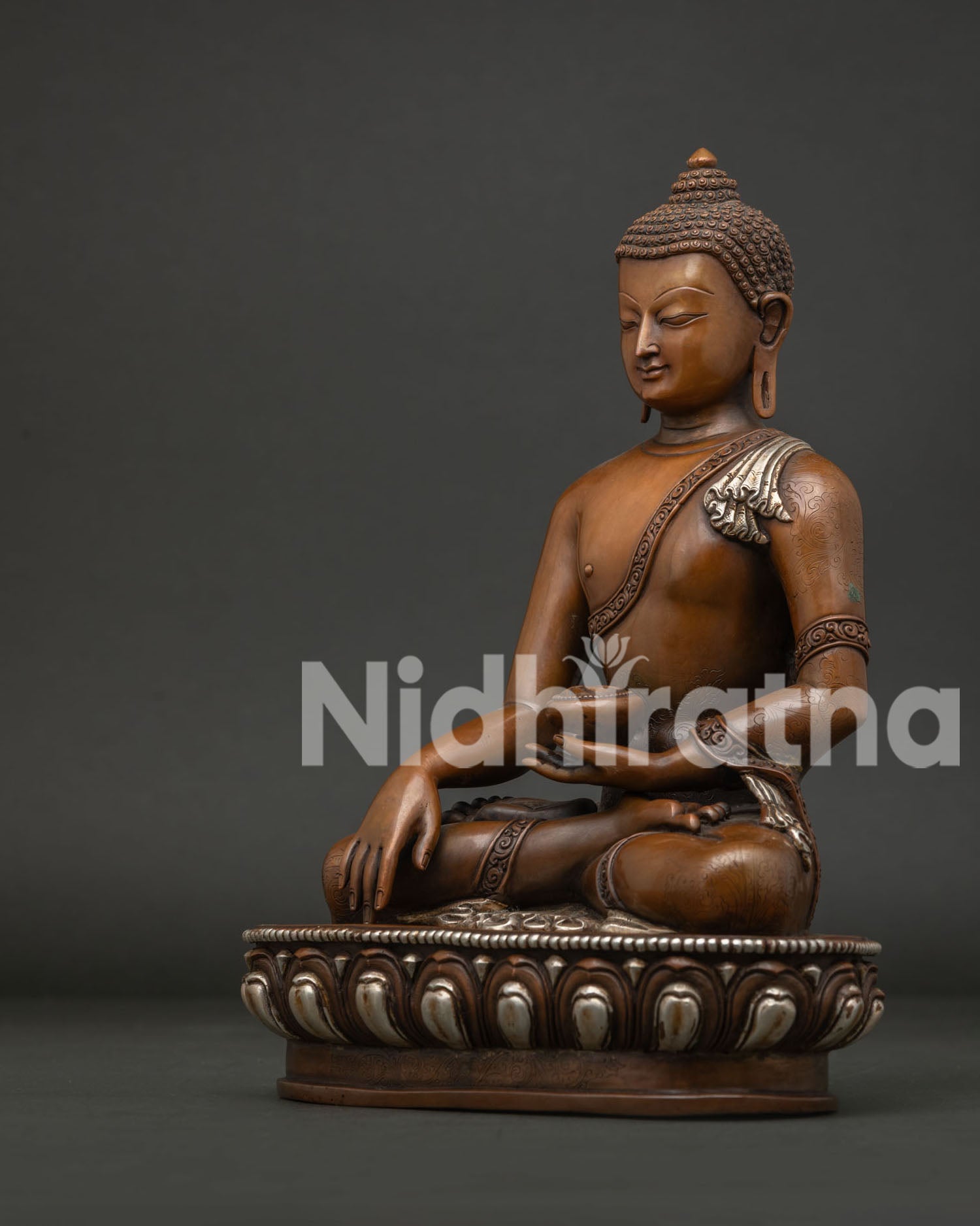 Detailed View of Shakyamuni Buddha Statue with Hand Carved Monk Robe.