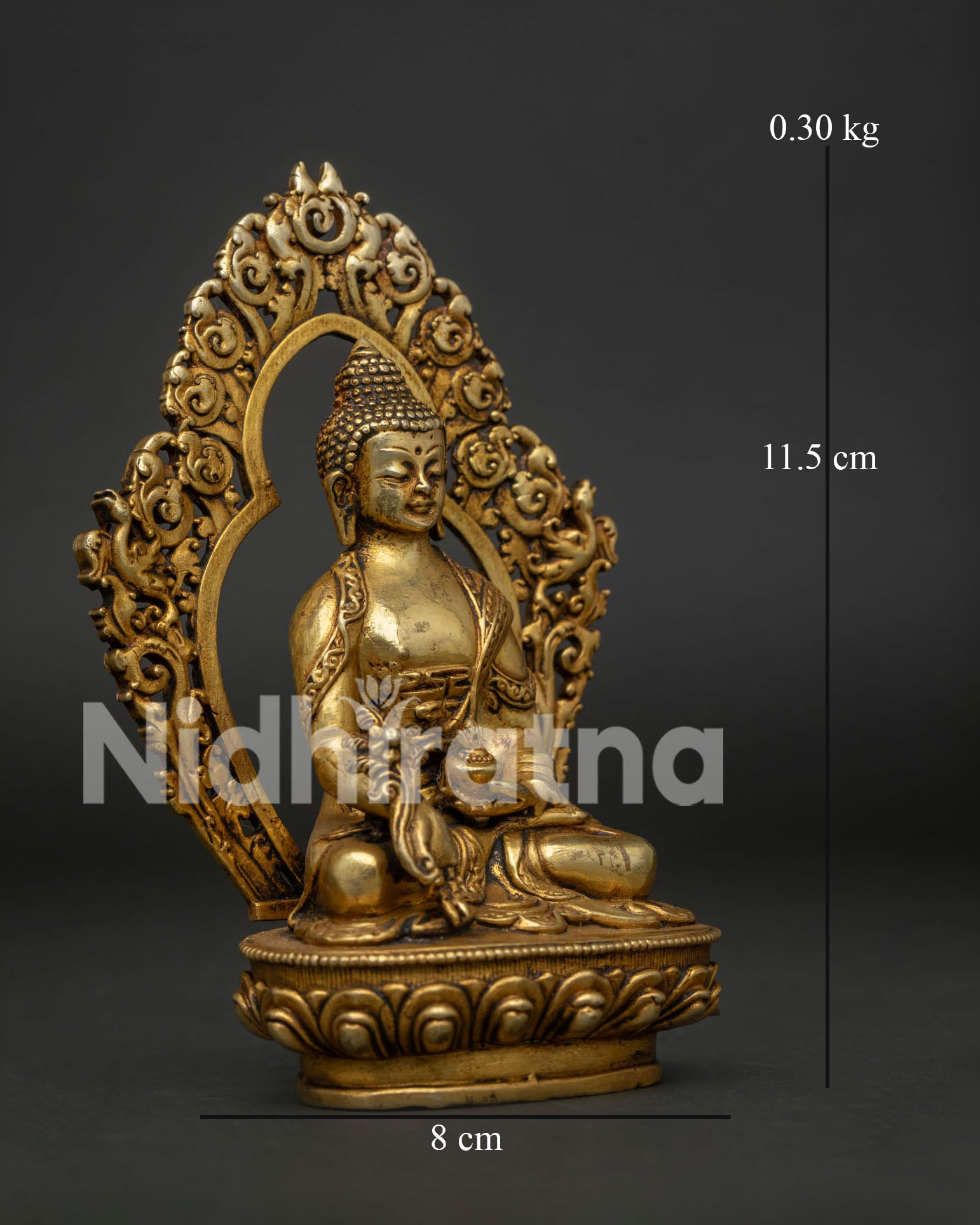 Medicine Buddha Statue Holding Healing Bowl and Myrobalan Plant Detailed View.