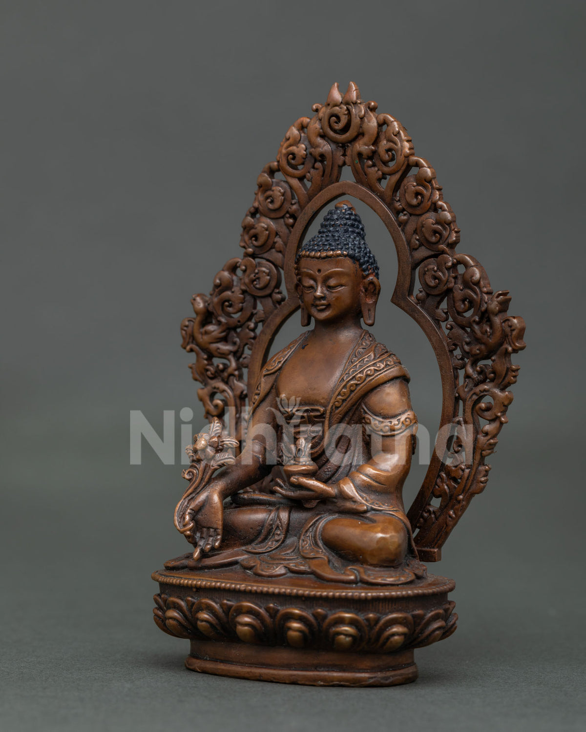 Medicine Buddha statue presenting sacred myrobalan plant for healing.