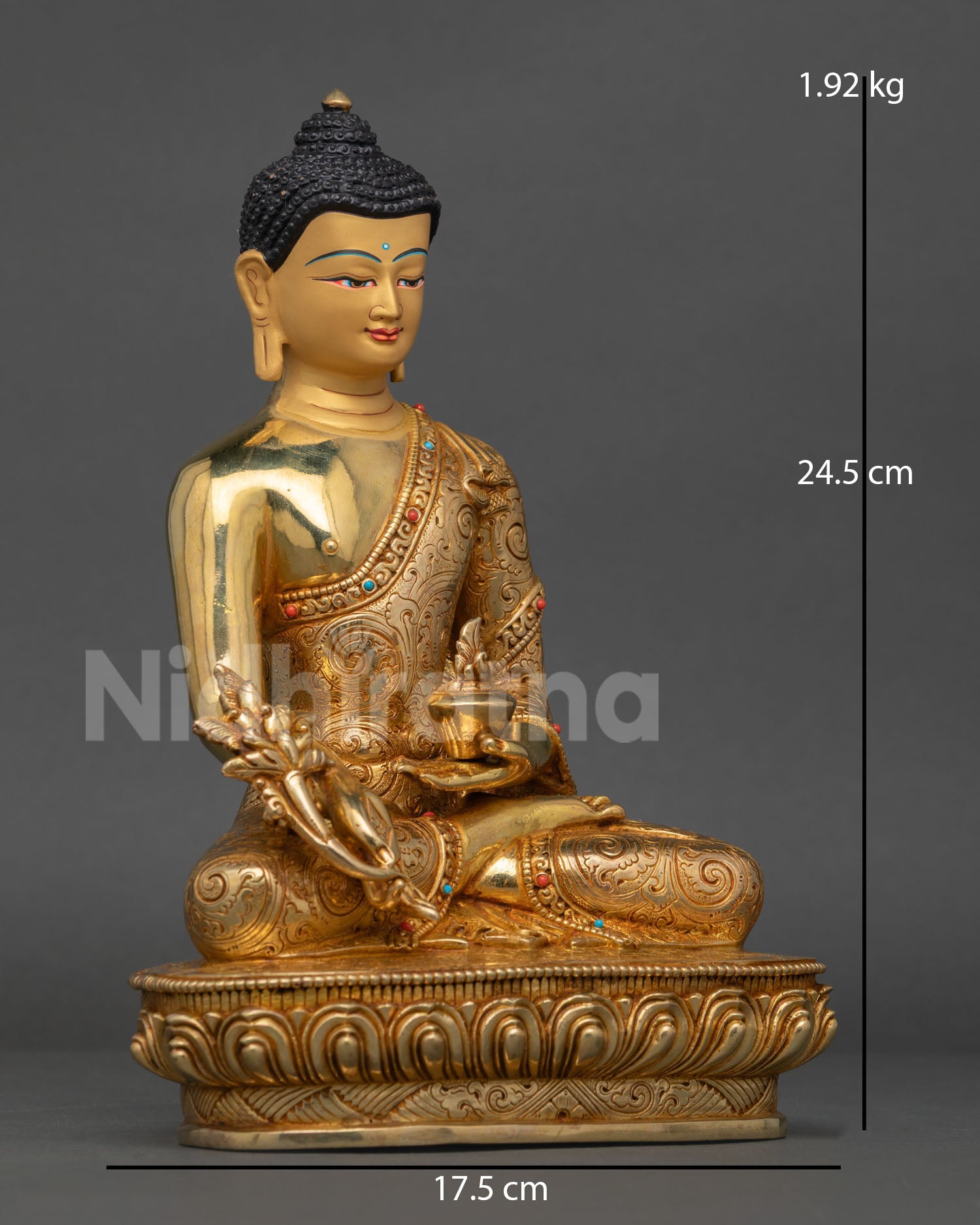 Right side view of Medicine Buddha statue holding a sacred healing myrobalan plant stem