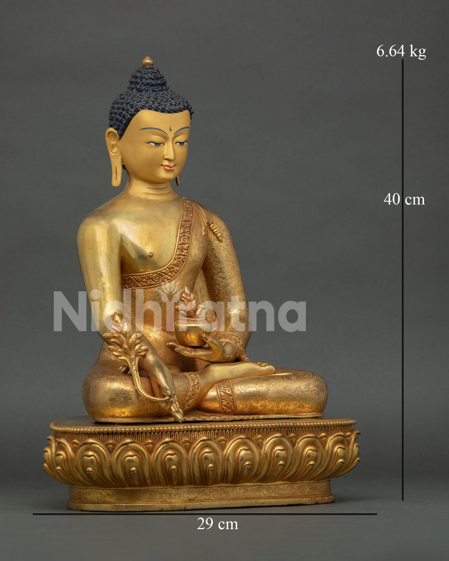 right view of medicine buddha statue holding myrobalan plant and healing bowl