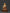 The Enlightened One: Buddha Shakyamuni Statue