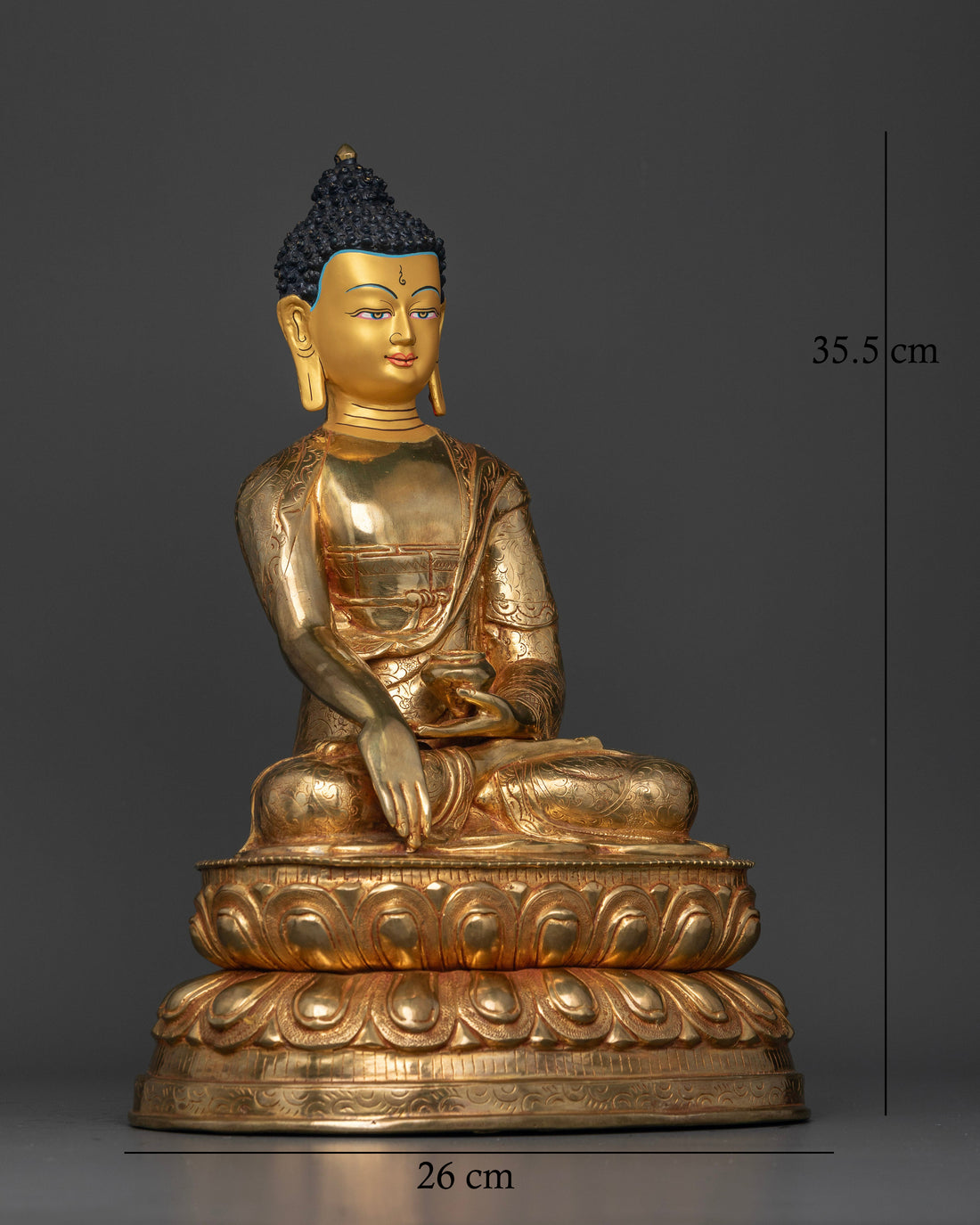 The Buddha's Radiant Presence: An Emblem of Serene Enlightenment