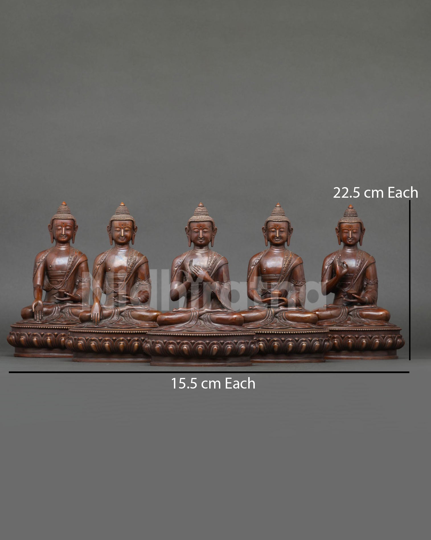 Five Buddha Set