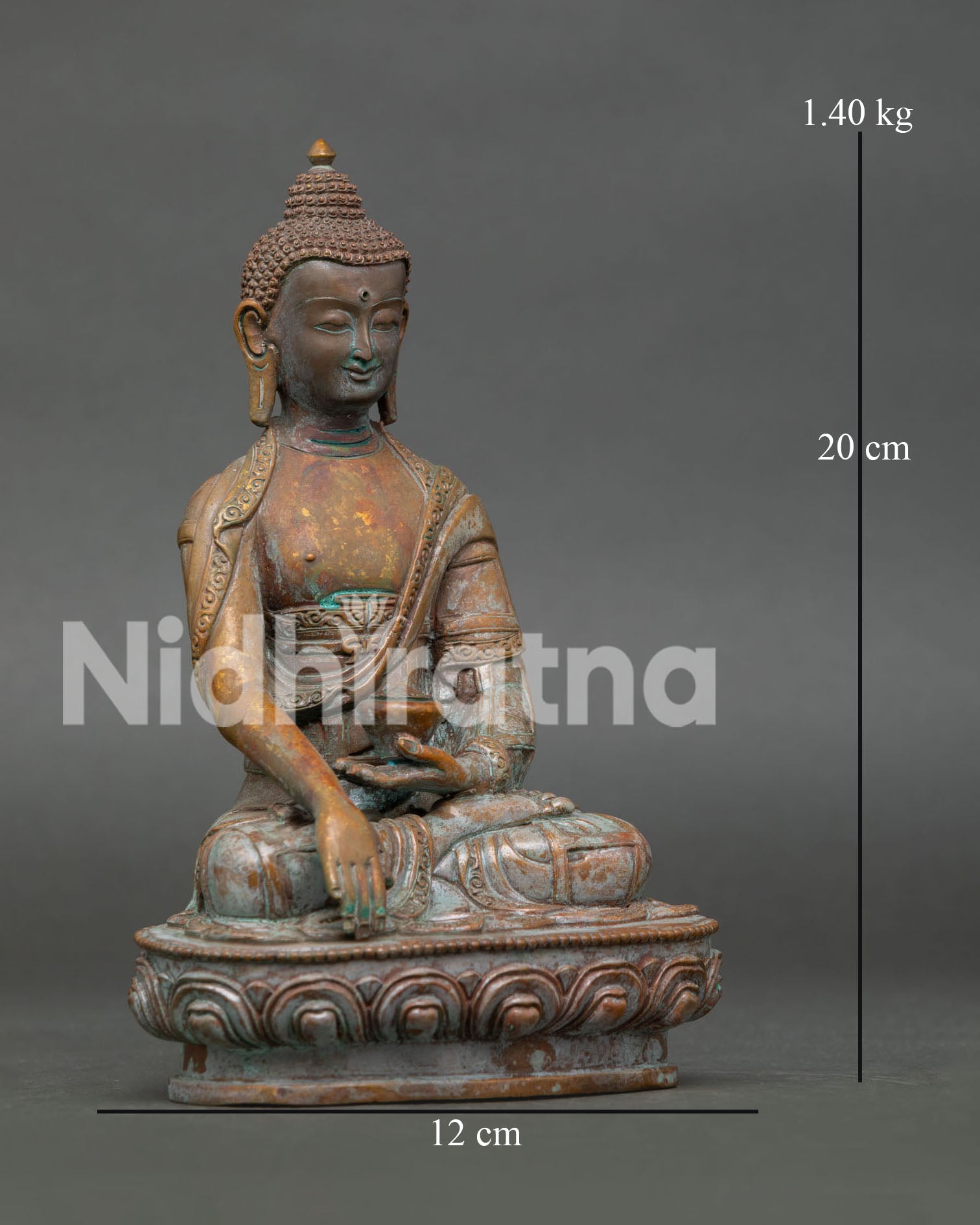 Buddha Shakyamuni Statue