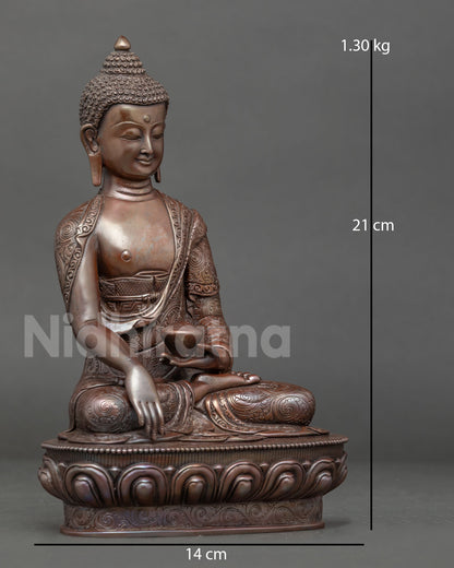Shakyamuni Buddha Statue