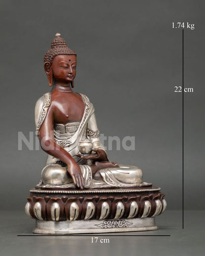 Buddha Shakyamuni Statue