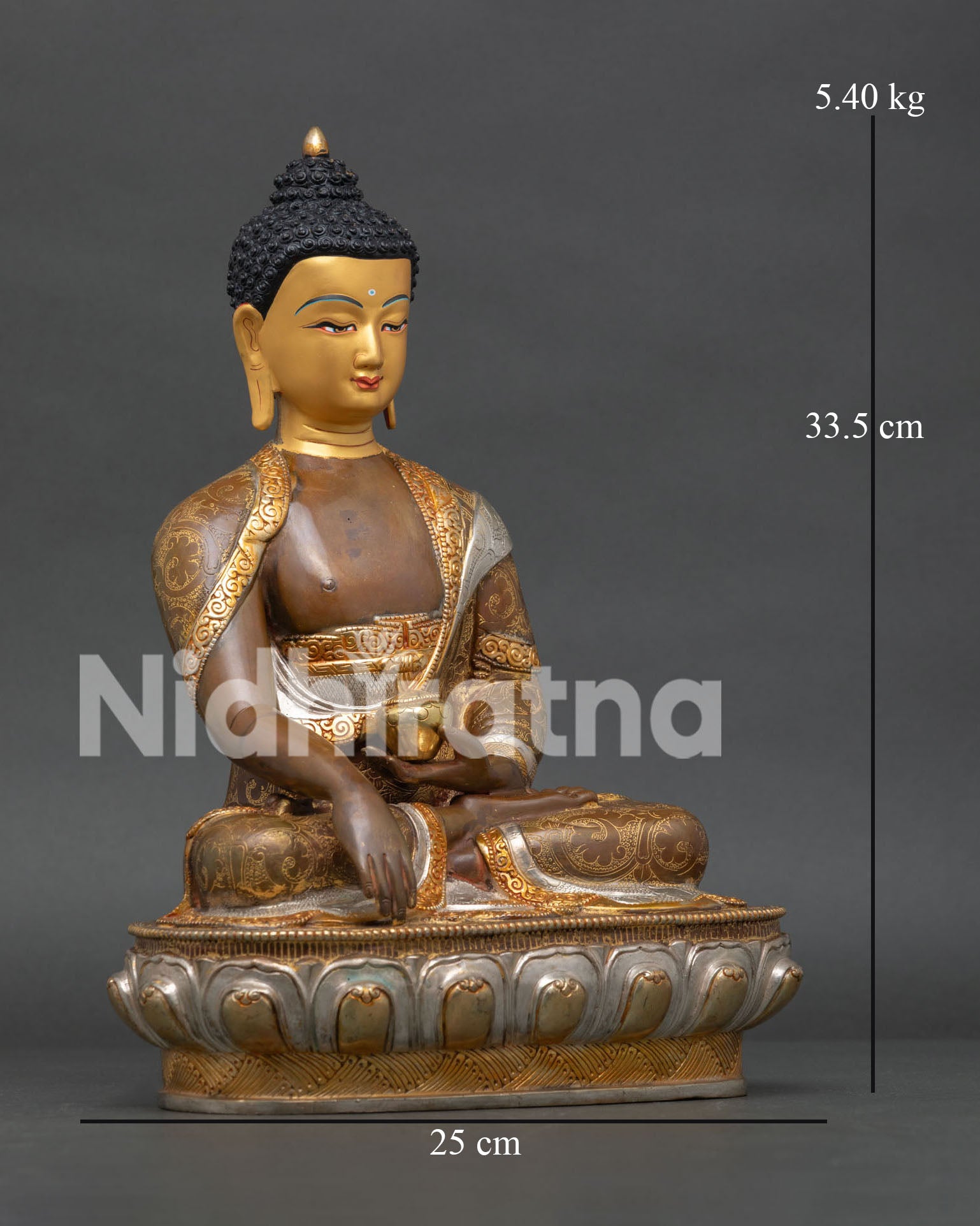 Buddha Shakyamuni Statue
