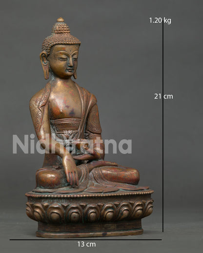 Shakyamuni Buddha Statue