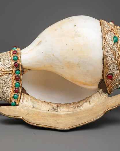 Authentic Conch Shell - Symbol of Buddha's Teachings