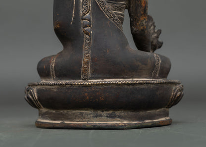 Medicine Buddha Statue