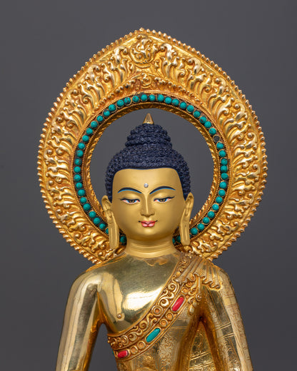 The Buddha of Infinite Light: Paths to Enlightenment