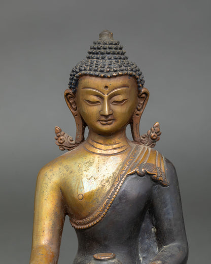 Five Dhyani Buddhas Statue | Himalayan Vajrayana Spiritual Altar Set