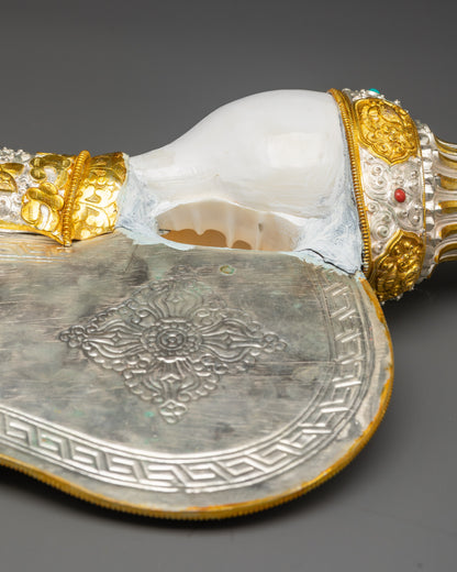 Tibetan Conch Shell – Symbol of Purification and Protection