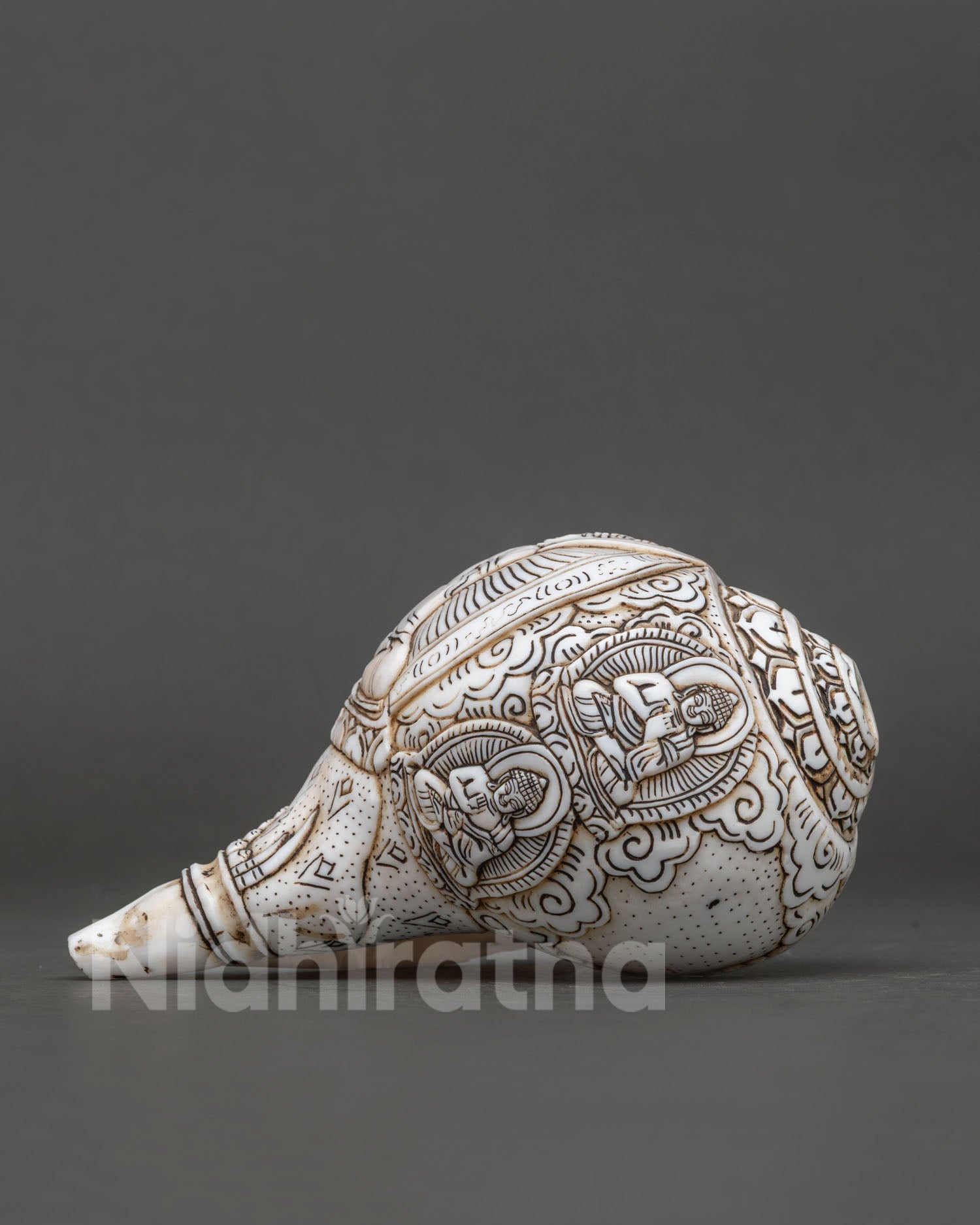 Conch Shell