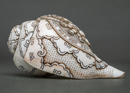 Conch Shell