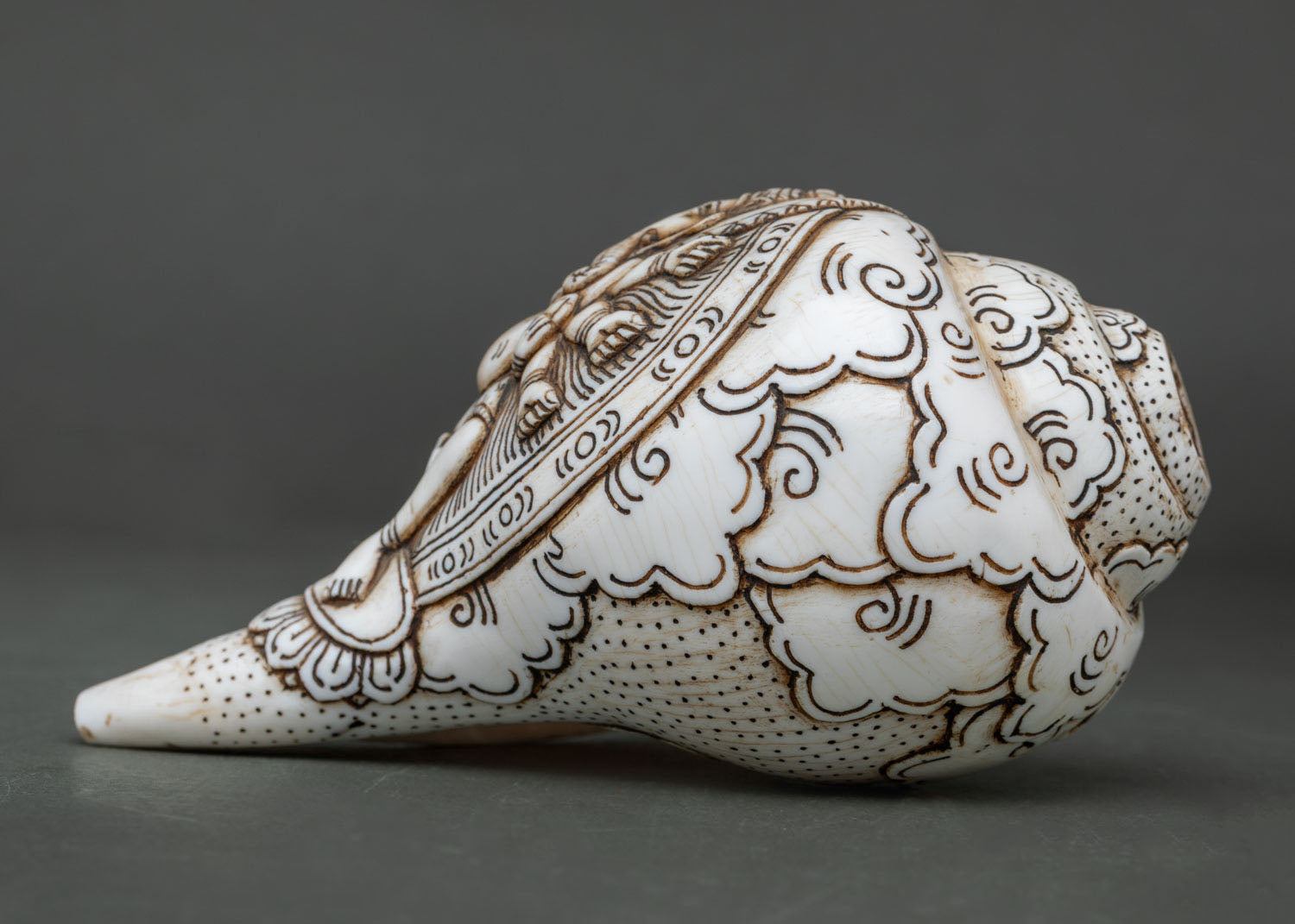 Conch Shell
