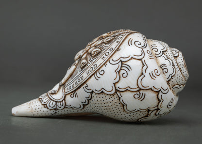 Conch Shell
