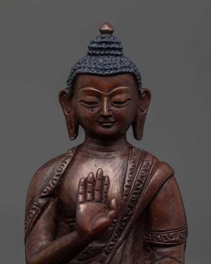 Set of Five Dhyani Buddha Statue | Handcrafted in Nepal