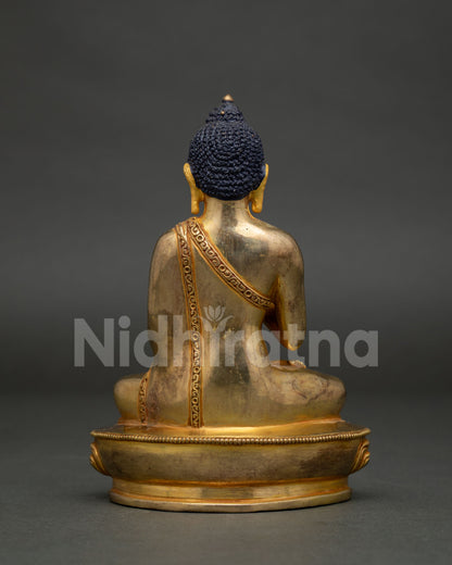 Five Buddha Set
