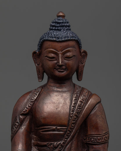 Set of Five Dhyani Buddha Statue | Handcrafted in Nepal