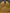 Guru Padmasambhava Statue | Rinpoche | The Lotus-Born Buddha