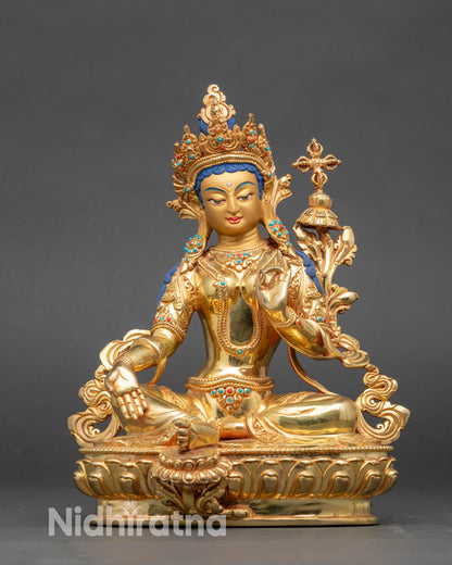 Maja Chenmo face close up, vibrant gold highlights on copper peacock feather motifs