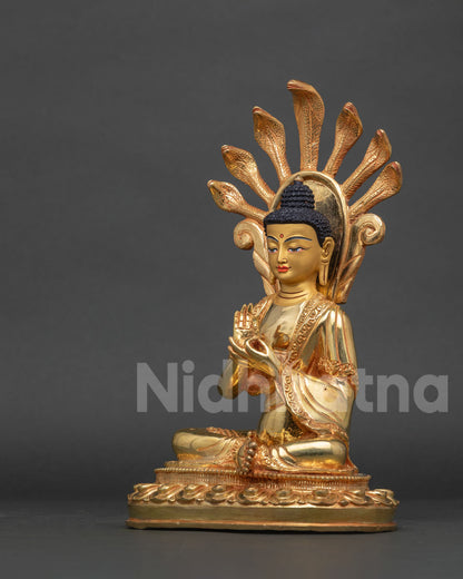 Nagarjuna Statue