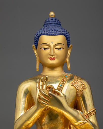 Regular close up of Vairocana Buddha robe with semi-precious stones