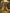 Buddha Shakyamuni Statue | Majestic Makara