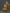 Buddha Shakyamuni Statue | Majestic Makara