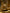 Buddha Shakyamuni Statue | Majestic Makara