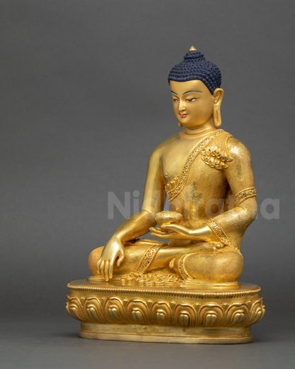 Shakyamuni Buddha statue left view side with intricate garments and calm presence