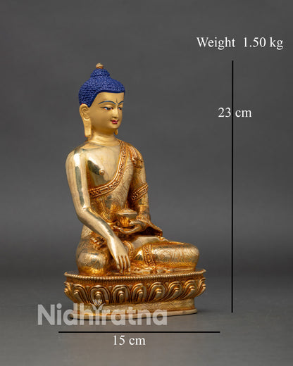 Side view of Shakyamuni Buddha statue,  seated lotus posture Bhumisparsha Mudra for inner peace