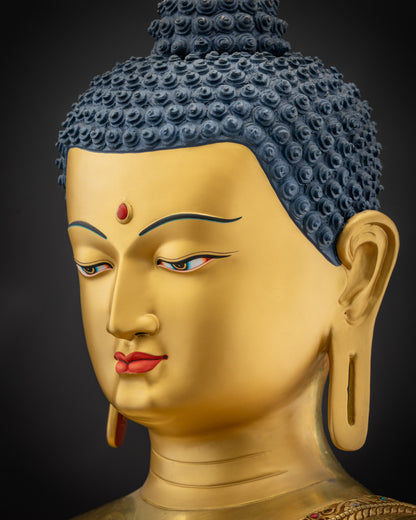 Side close up face Amitabha Buddha peaceful meditation decor statue
