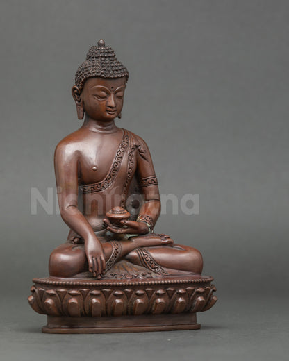 Side view Shakyamuni Buddha seated on lotus throne, meditation Buddha statue