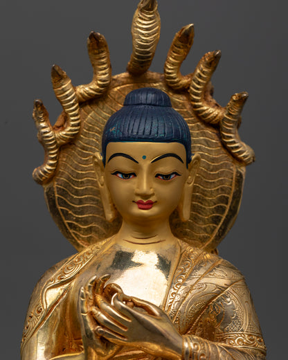  The Nagarjuna statue’s serene, gold-plated face, highlighting the spiritual elegance and meticulous detailing by Nepalese artisans.

