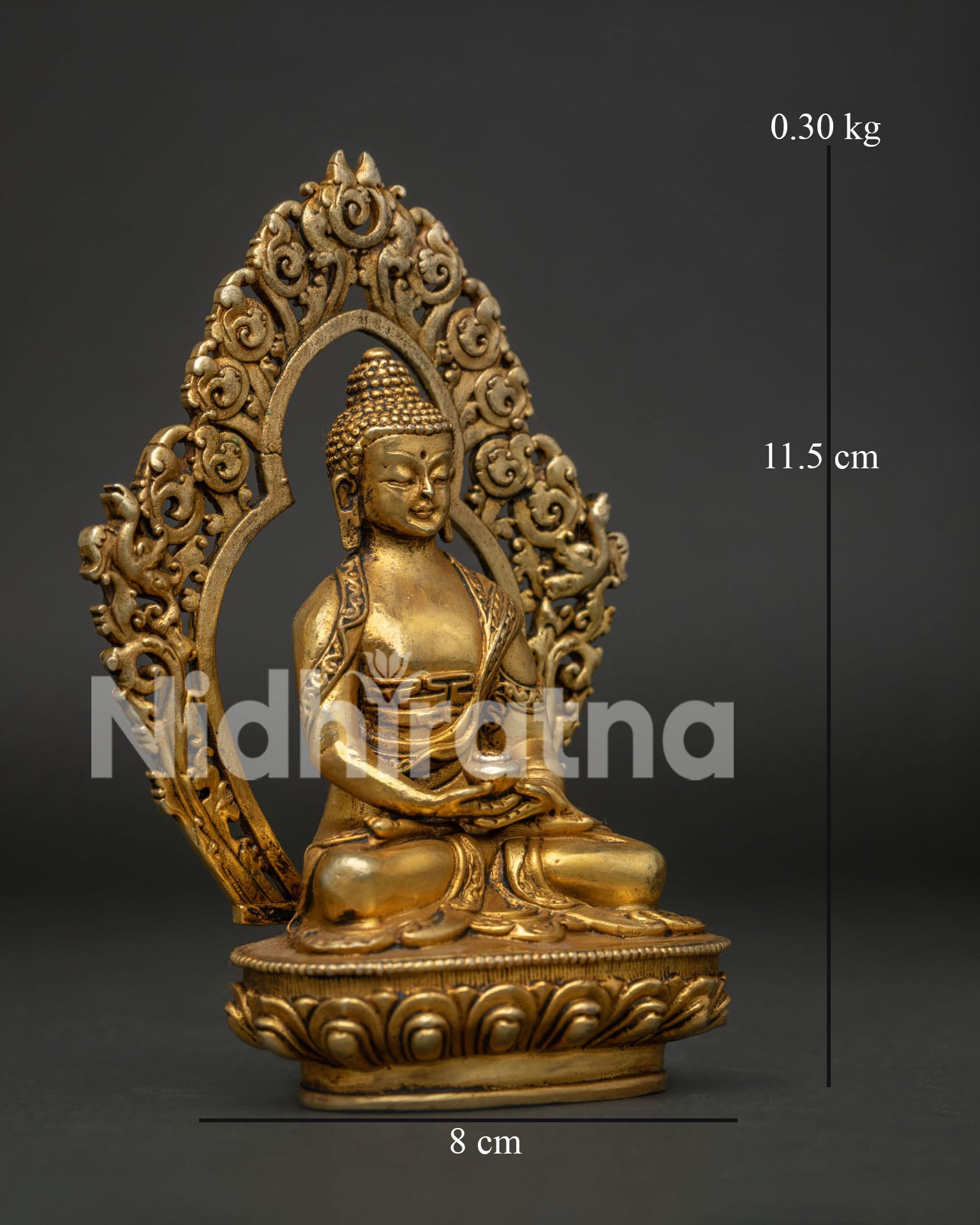 Amitabha Buddha Statue Dhyana Mudra Holding Sacred Alms Bowl View.