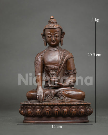 Shakyamuni Buddha Statue