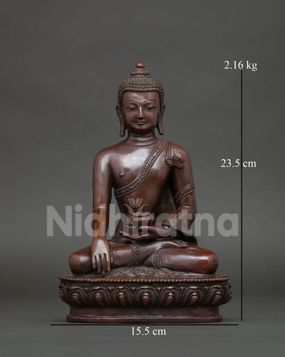 Shakyamuni Buddha Statue