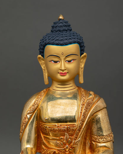Close up Medicine Buddha Varada mudra myrobalan plant dhyana mudra copper statue