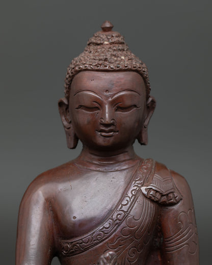Close-up of Medicine Buddha Statue holding myrobalan plant and sacred medicine bowl.
