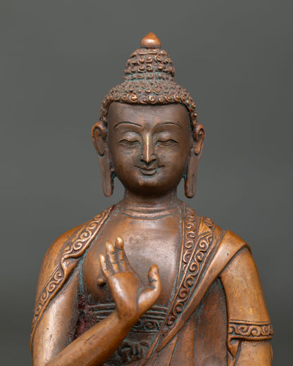 Close up view of Amoghasiddhi Buddha face and hand carved monk robe details.